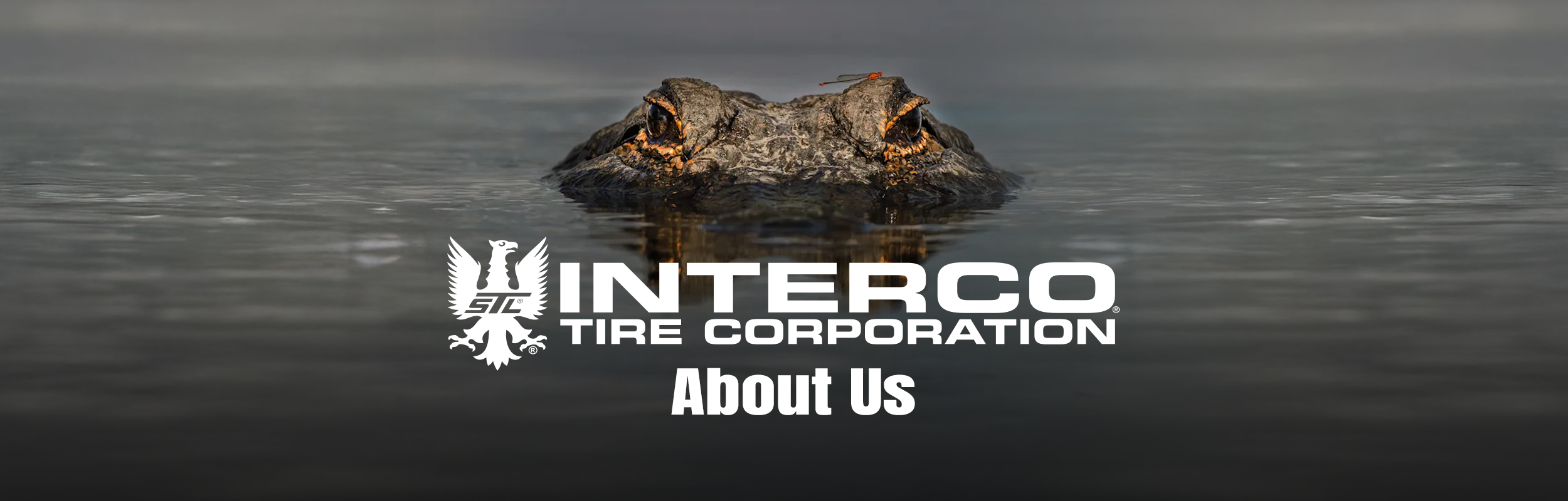 Interco About Us